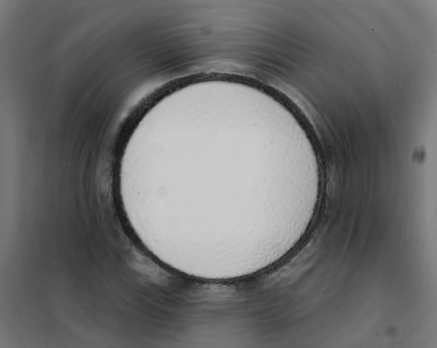 X0000101691115200808071127