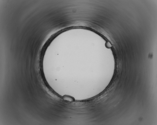 X0000101691116200808071127