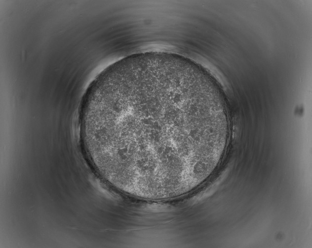 X0000101691117200808071127