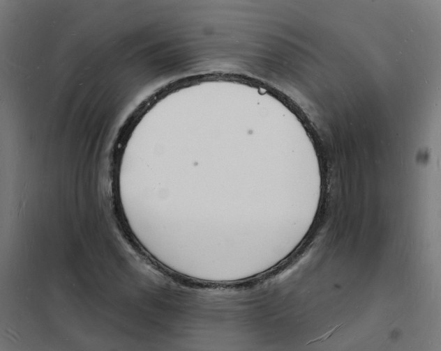 X0000101691118200808071127