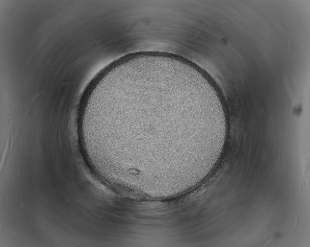 X0000101691120200808071127