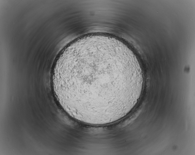 X0000101691121200808071127