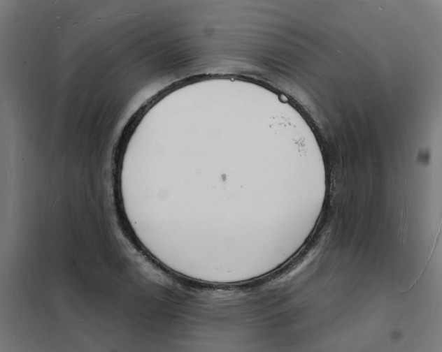 X0000101691122200808071127