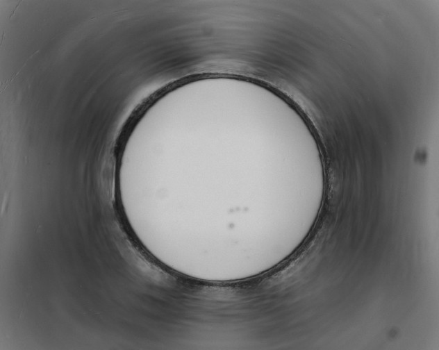 X0000101691123200808071127