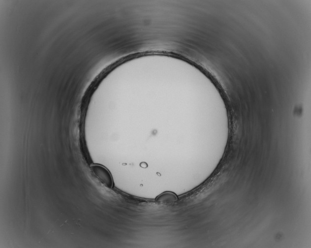 X0000101691124200808071127