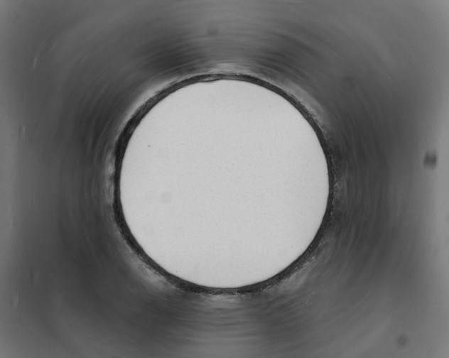 X0000101691126200808071127