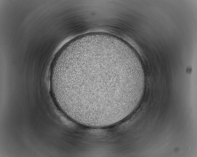 X0000101691127200808071127