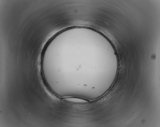 X0000101691128200808071127