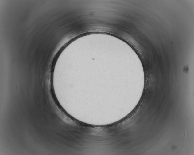 X0000101691130200808071127