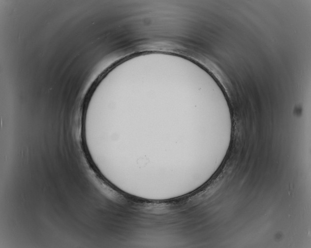 X0000101691131200808071127