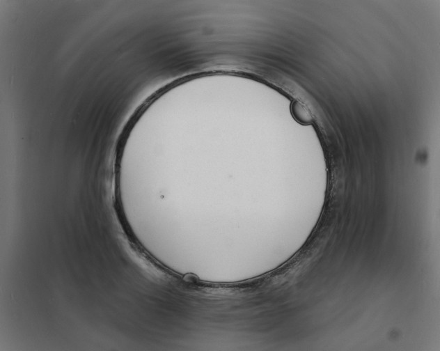 X0000101691132200808071127