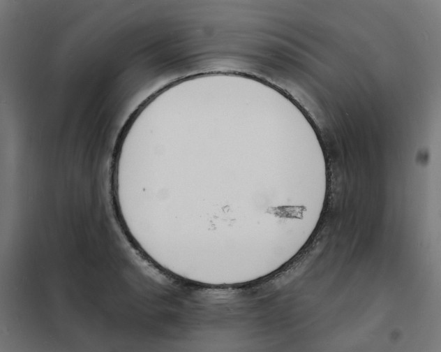 X0000101691134200808071127