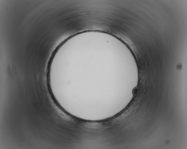 X0000101691135200808071127