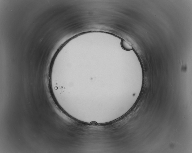 X0000101691136200808071127