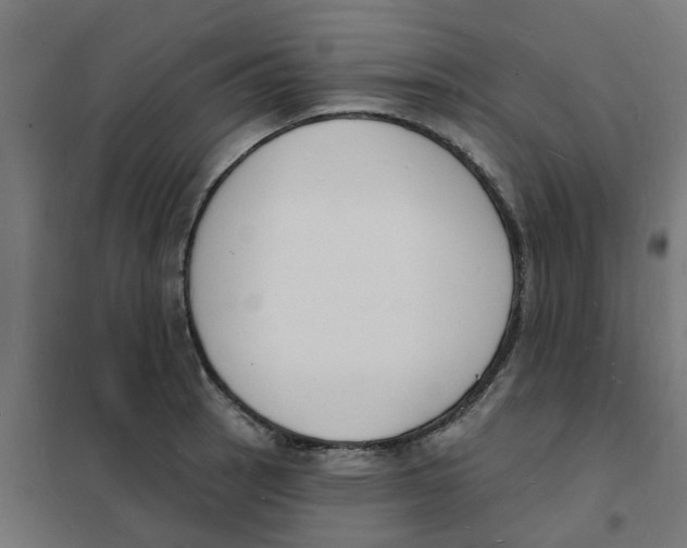 X0000101691137200808071127