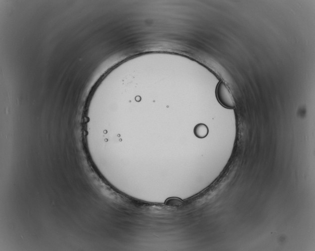 X0000101691138200808071127