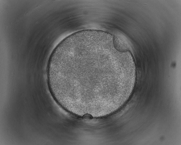 X0000101691141200808071127