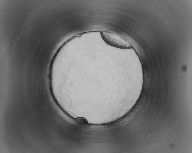 X0000101691142200808071127