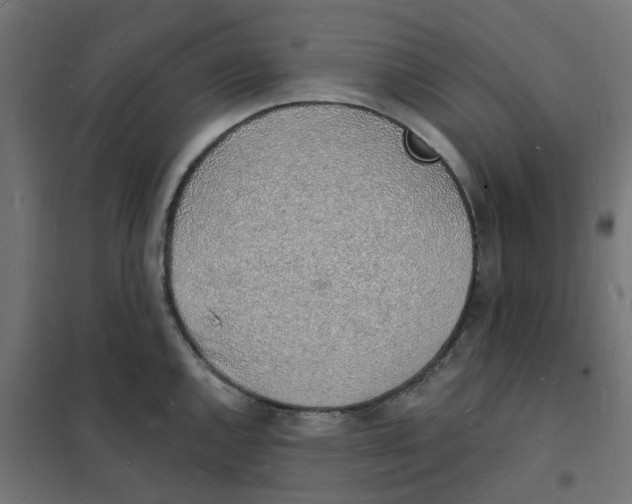 X0000101691144200808071127