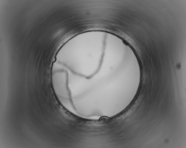 X0000101691145200808071127