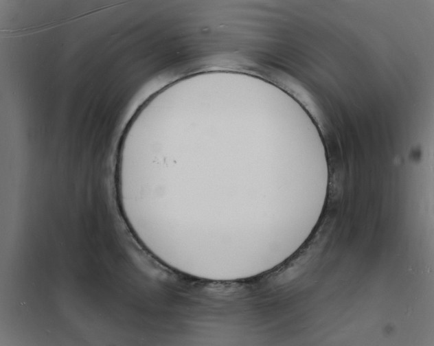 X0000101691146200808071127