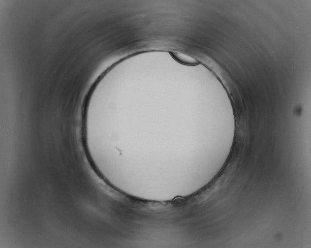 X0000101691147200808071127