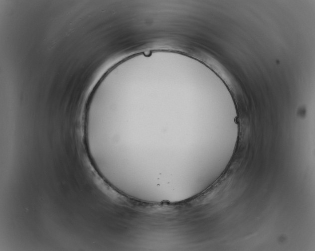 X0000101691148200808071127