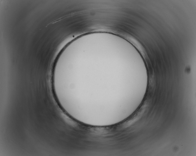 X0000101691149200808071127