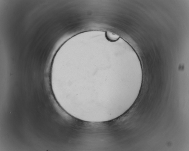 X0000101691152200808071127