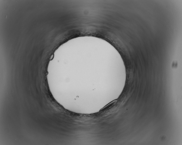 X0000101691153200808071127