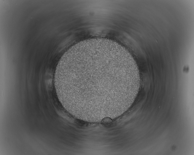 X0000101691154200808071127