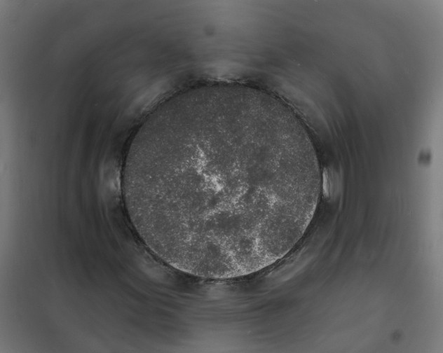 X0000101691155200808071126