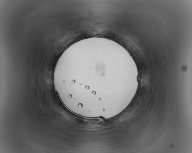 X0000101691156200808071126