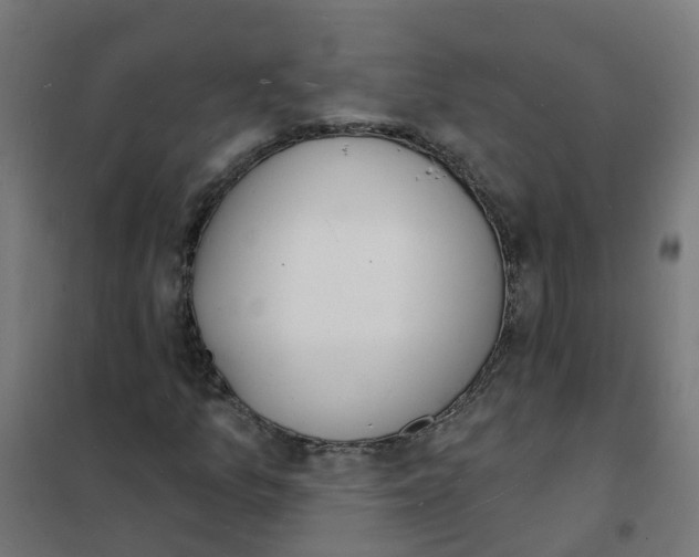 X0000101691157200808071126