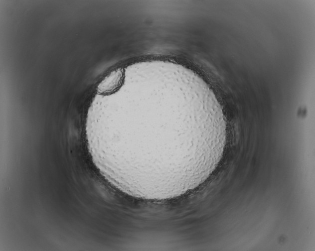 X0000101691158200808071126