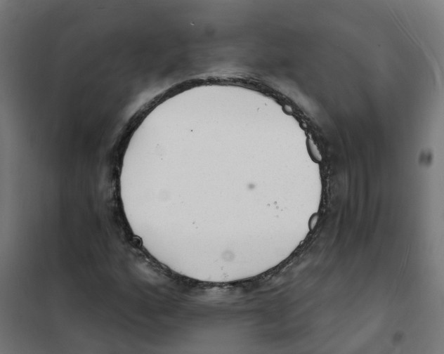 X0000101691160200808071126