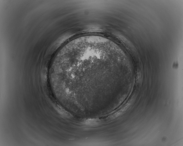 X0000101691161200808071126