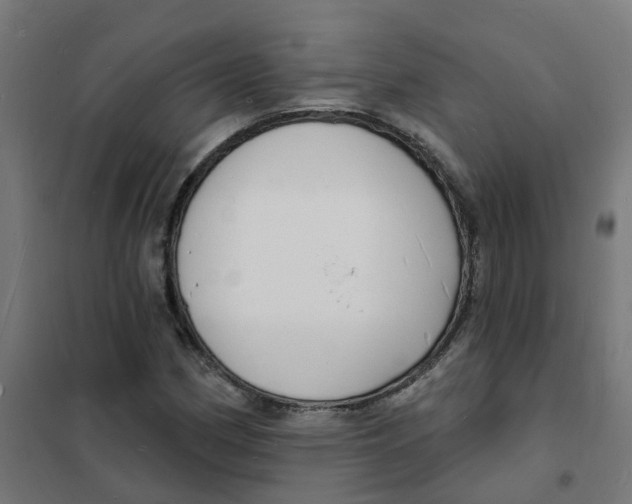 X0000101691162200808071126