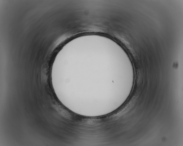 X0000101691163200808071126