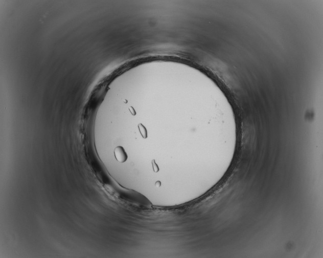 X0000101691164200808071126