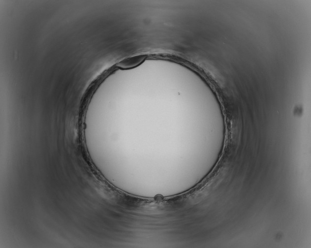 X0000101691165200808071126