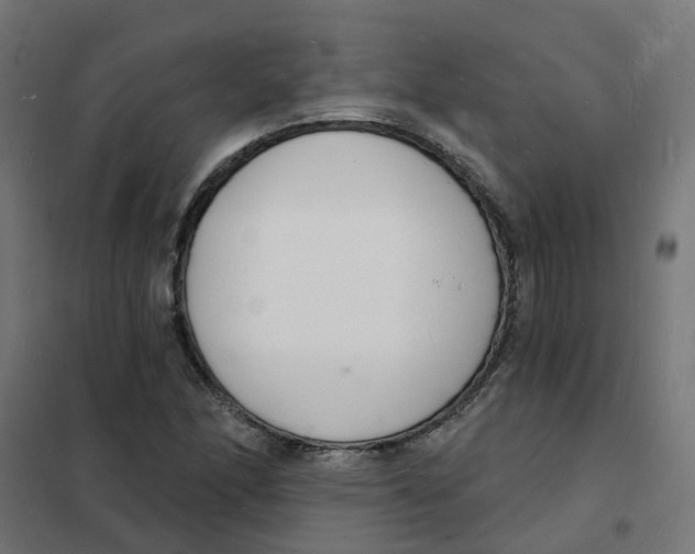 X0000101691166200808071126