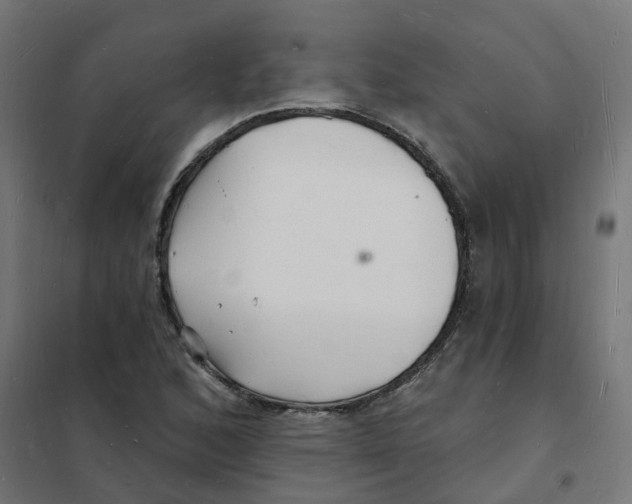 X0000101691168200808071126