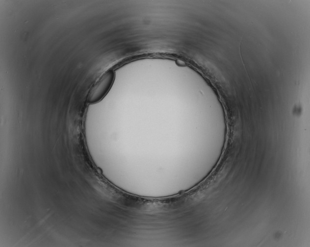 X0000101691169200808071126