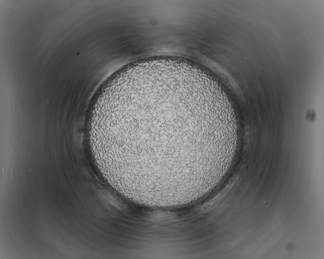 X0000101691170200808071126