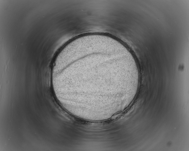 X0000101691171200808071126