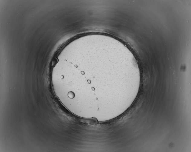 X0000101691172200808071126