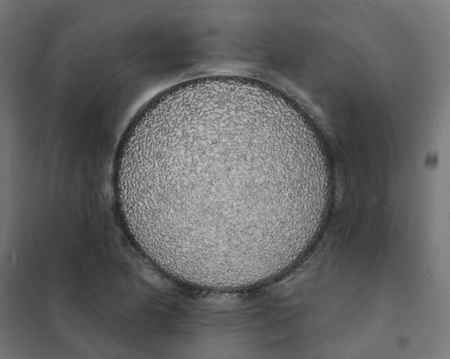 X0000101691174200808071126