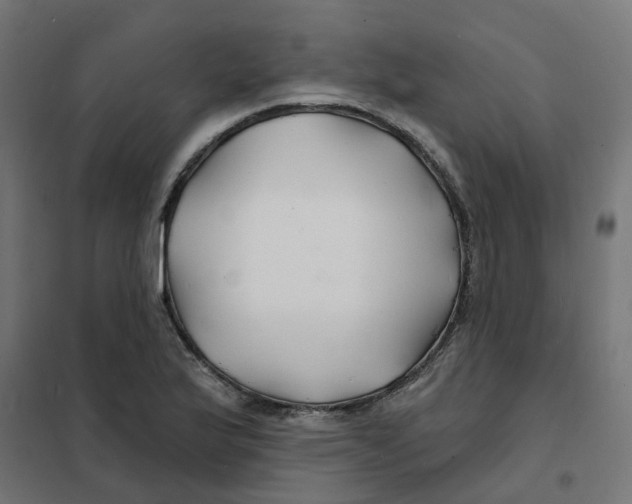 X0000101691175200808071126