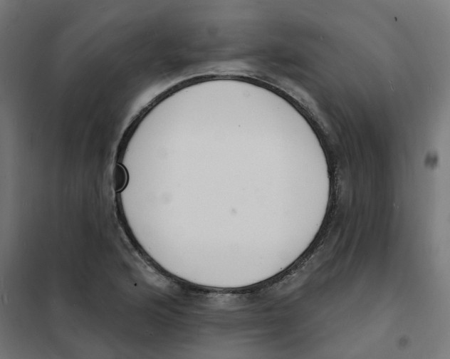 X0000101691176200808071126